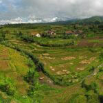 Cerita di Balik Nama Bebek Carok Kota Bintaro